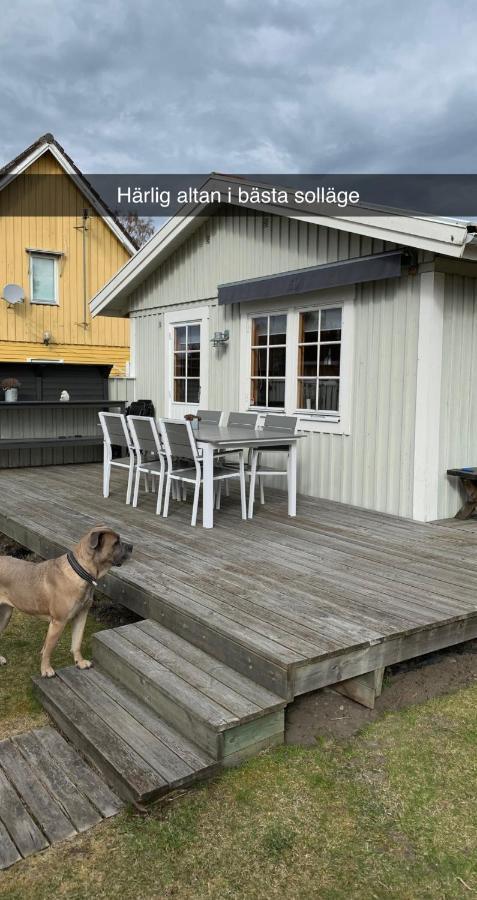 Villa Sus & Dus Yngsjö 외부 사진